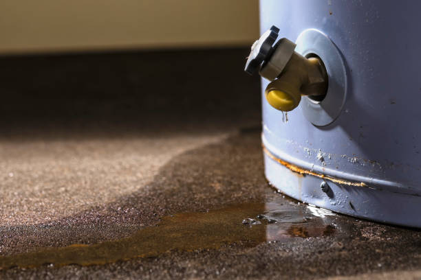Best Ceiling water damage repair  in Burgettstown, PA