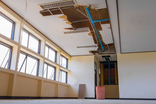 Best Emergency water damage restoration  in Burgettstown, PA