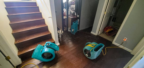 Best Water damage restoration near me  in Burgettstown, PA