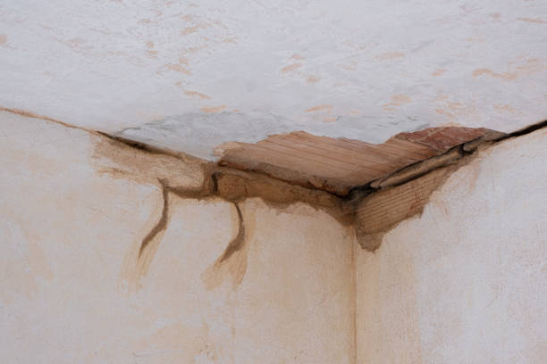 Best Emergency water damage restoration  in Burgettstown, PA